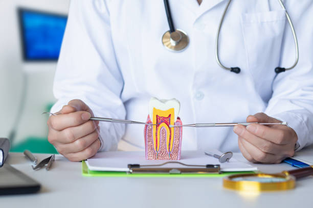 Best Pediatric Emergency Dentist in Edgerton, KS